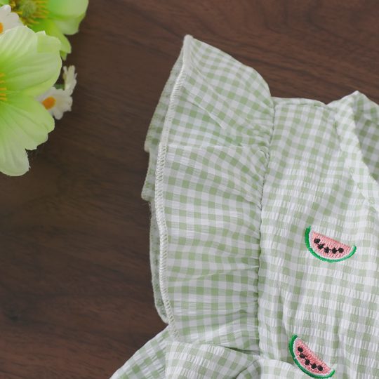 【6M-4Y】2-piece Girls Watermelon Embroidery Plaid Top And Shorts Set